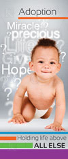 Adoptive Families Brochure 72