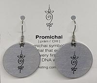 Promichai earrings