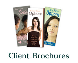 Client brochures icon